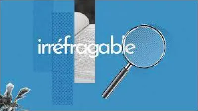 I : Que veut dire l'adjectif "irréfragable" ?