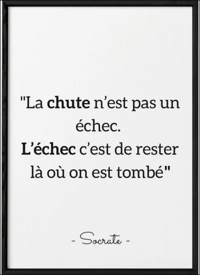 Le petit de la vache est le veau.