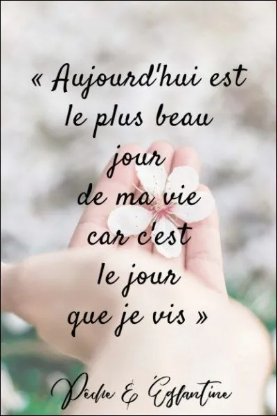 Le réseau social TikTok permet la mise en ligne uniquement de photos.