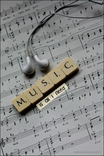 Que possède le cor que ne possédait pas le cor de chasse ?