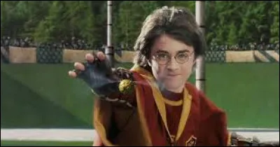 Aimes-tu le quidditch ?