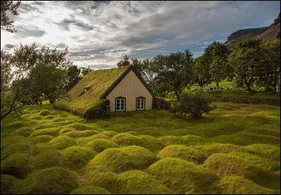 Complétez : 
"Goðunum þakkar hann góðæristímana..."