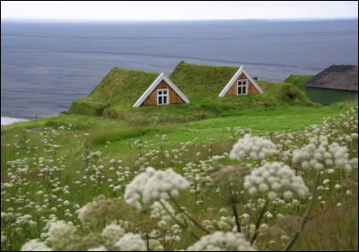 Complétez : 
"Fjölskyldan hans..."