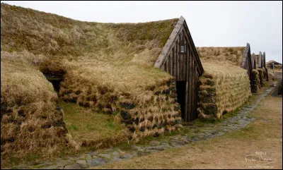 Complétez : 
"Hann á þessa heiðnu... : "