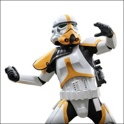 À quel type de Stormtroopers appartient ce soldat ?