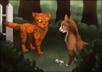 Combien de frères et sœurs a Étoile de Feu ?