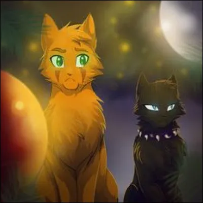 Combien de demi-frères et demi-sœurs a Étoile de Feu ?