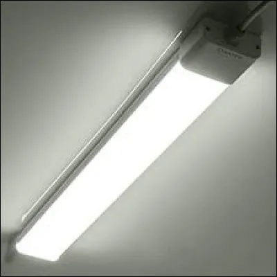 Quel gaz se trouve dans ce type de lampe ?