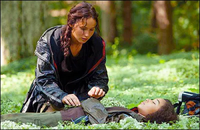 Peu après leur rencontre, Rue se fait tuer, Katniss dépose des fleurs tout autour du corps de la jeune fille, de quelle couleur sont ces fleurs ?