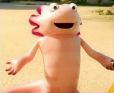 Comment s'appelle l'ami axolotl des As ?
