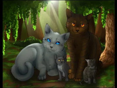 Voudras-tu avoir des chatons ?