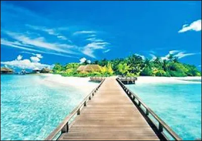 Parmi ces félins, lequel représente lune des cinq espèces du genre Panthera ?