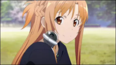 Quel est le nom de ce personnage ?