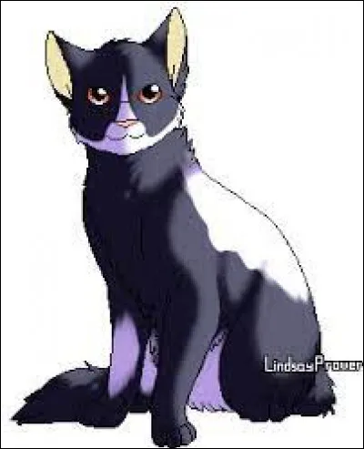 Qui est ce f&eacute;lin ?