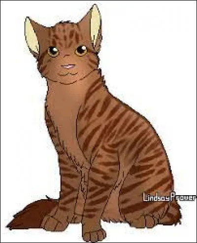 Qui est-ce chat de LGDC ?