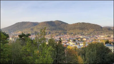 Enfin, vous trouverez ici la Maison départementale dé...[Complétez !] du département 88.