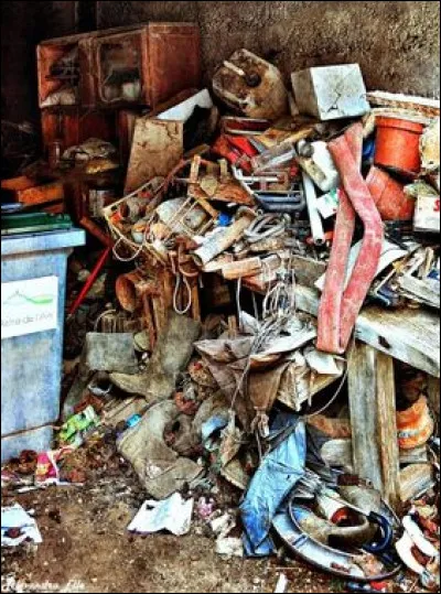 Qui a découvert, en 1642, la Nouvelle-Zélande ?