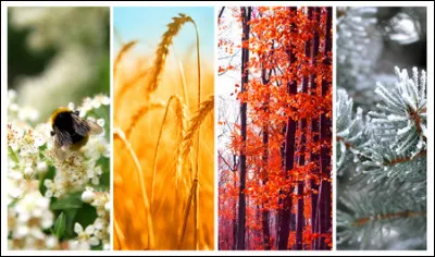 Quelle est ta saison préférée ?