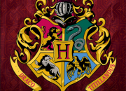 Test Qui serait ta meilleure amie dans ''Harry Potter'' ?
