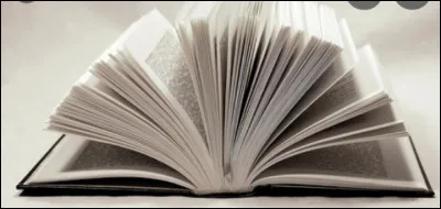 Aimes-tu lire de gros romans ?