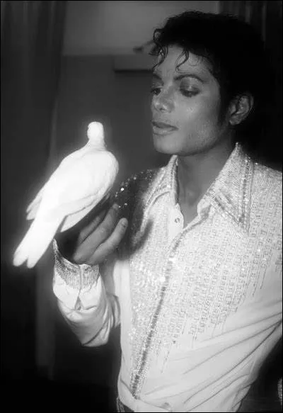 Il existe un oiseau qui fait du moon-walk.