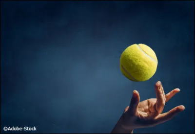 Des enfants te lancent un ballon sans faire exprès et veulent que tu leur rendes. Que fais-tu ?