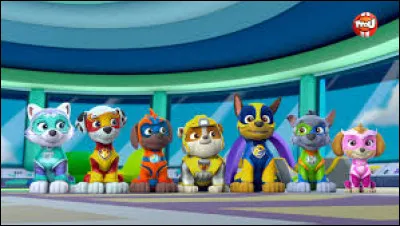 Quel est ce dessin animé dont les personnages principaux sont des chiens qui sauvent le monde ?