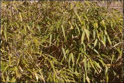 Quel signe est ton favori parmi les suivants ?