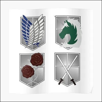 Quel est ton style de fille ou de garçon ? (en apparence)