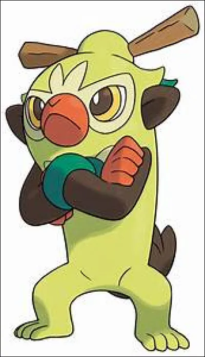 Quel est ce pokémon ?