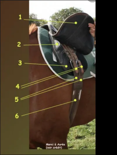 Comment appelle-t-on la partie au numéro 3 ?