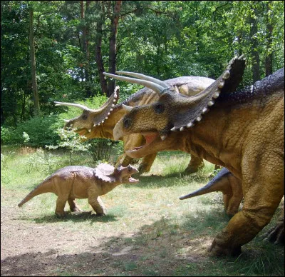 Aimes-tu les dinosaures ?