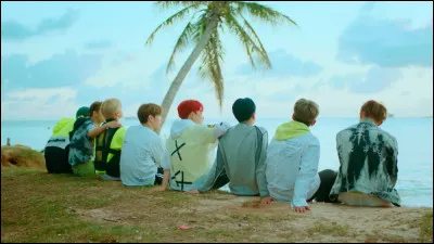 De quel MV fait partie cette image ?