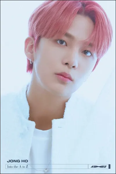 Ce chanteur c'est ...