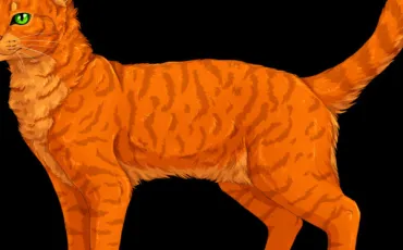 Quiz Littérature, poésie