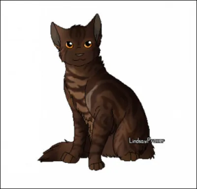 Quel fut le nom de chaton d'Étoile de Ronce ?