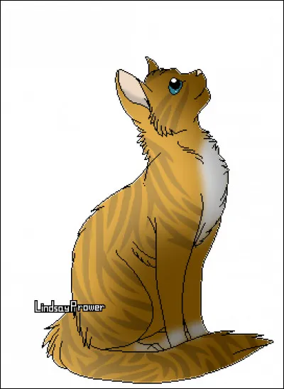 Quel fut l'apprenti de Petit Orage ?