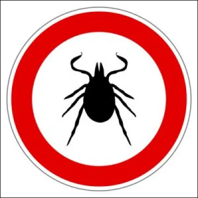 Quel oiseau est considéré comme un parasite ?