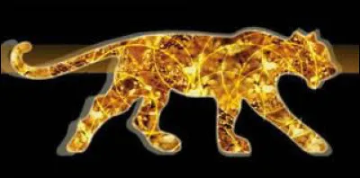 Quelle est cette marque ?