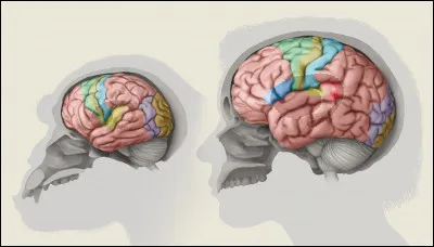 Que sais-tu bien faire ?