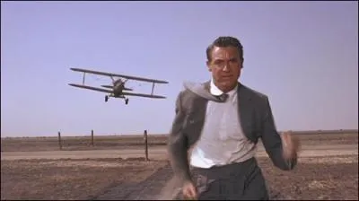 Qui a ralis le film dont cette image est tire ?