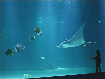 Dans quel département pourrez-vous visiter "Nausicaa" et son aquarium ?