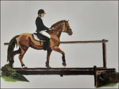 Toutes ces activités se font en plein air (saut d’obstacles- TREC- attelage- dressage) :
