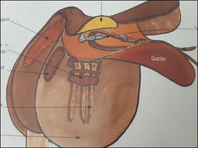 Il y a "trois" quartiers sur la selle :