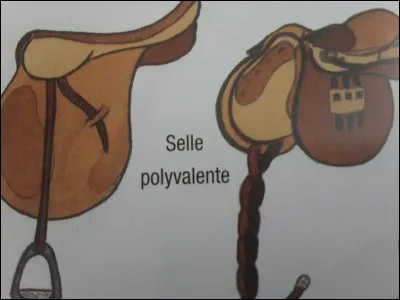 Existe-il différentes selles pour monter à cheval ?
