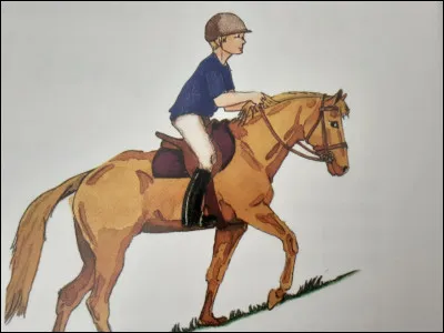 La robe "aubère" fait partie de la famille des alezans.