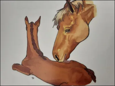 Le féminin de "poulain" est "pouliche".