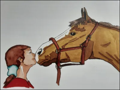 Le cheval (ou poney) a-t-il les mêmes sens que lhomme ?