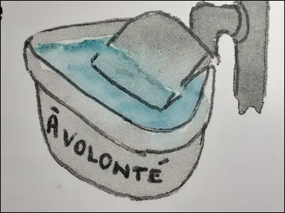 Combien de litres deau boit un cheval (ou poney) par jour ?