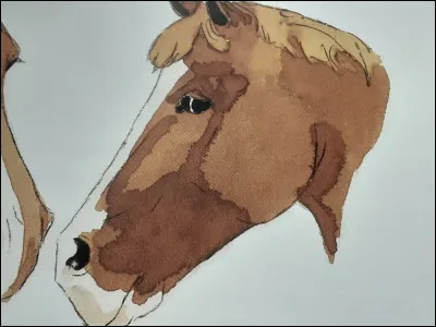 Est-ce que ce cheval (image) a unE liste ?